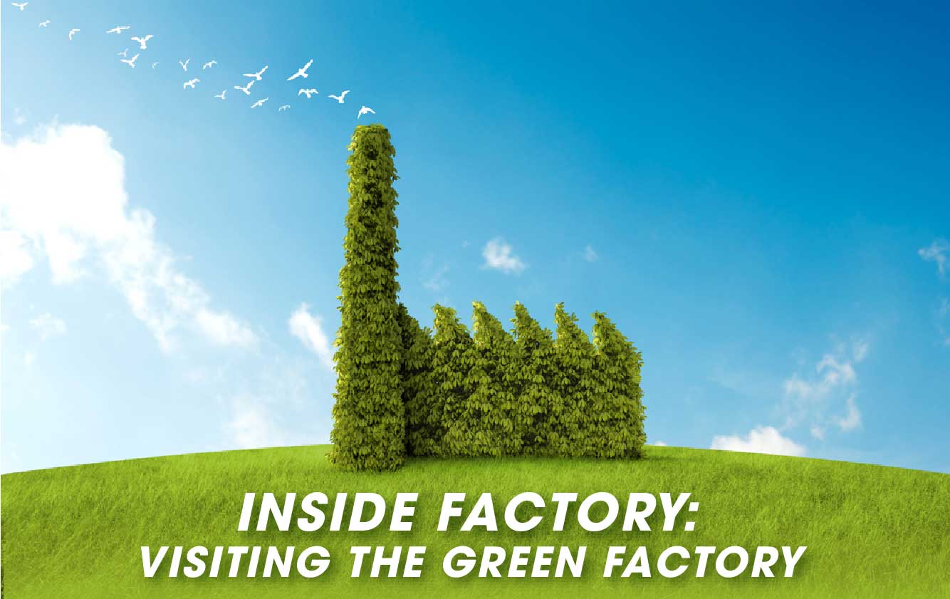 Visiting the green factory