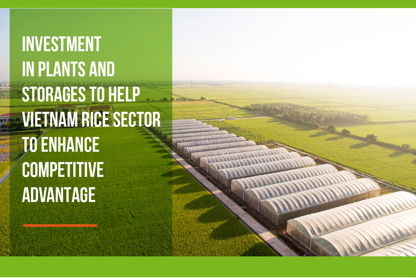 INVESTMENT IN PLANTS AND STORAGES TO HELP VIETNAM RICE SECTOR TO ENHANCE COMPETITIVE ADVANTAGE