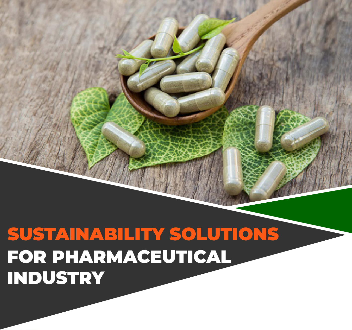SUSTAINABILITY SOLUTIONS FOR PHARMACEUTICAL INDUSTRY
