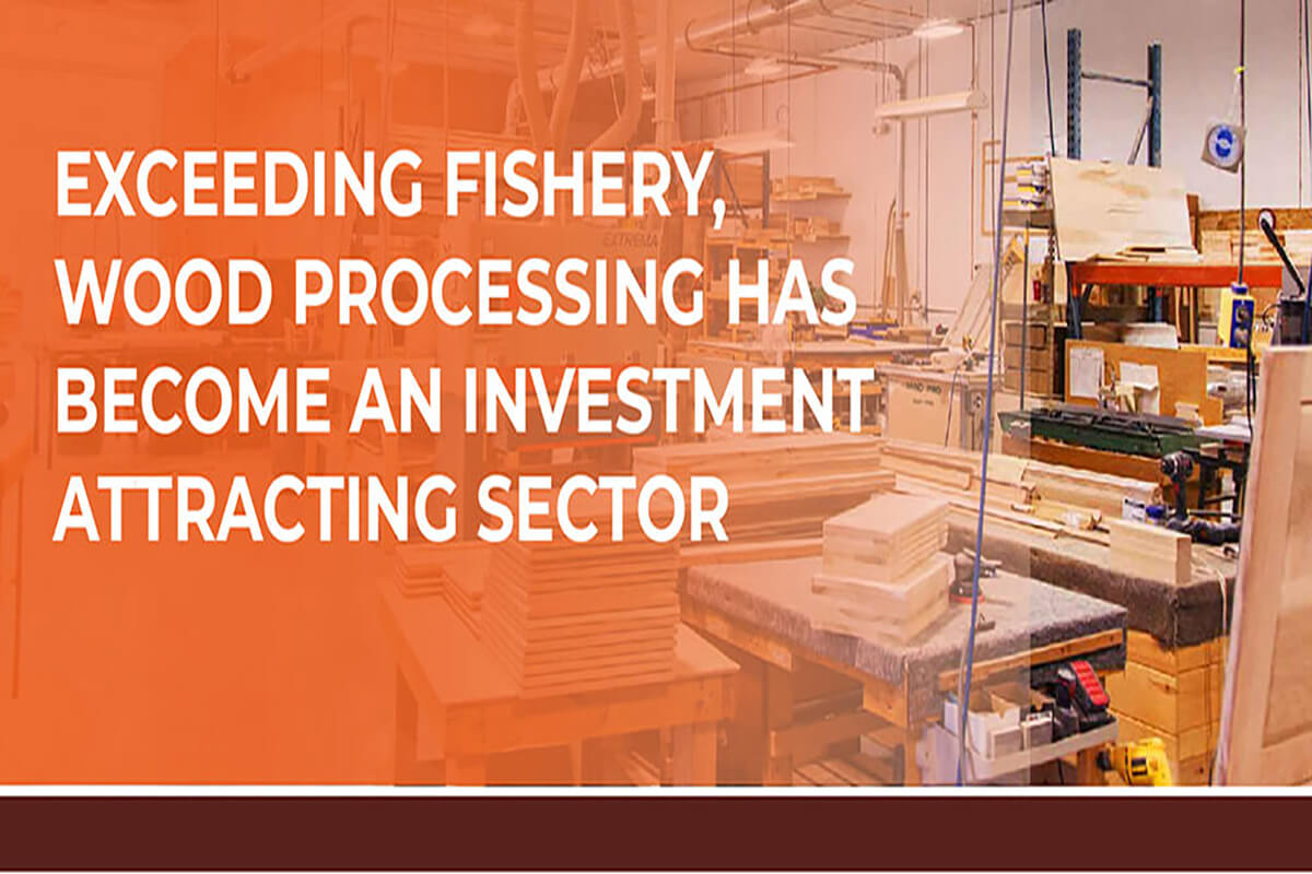 EXCEEDING FISHERY, WOOD PROCESSING HAS BECOME AN INVESTMENT ATTRACTING SECTOR