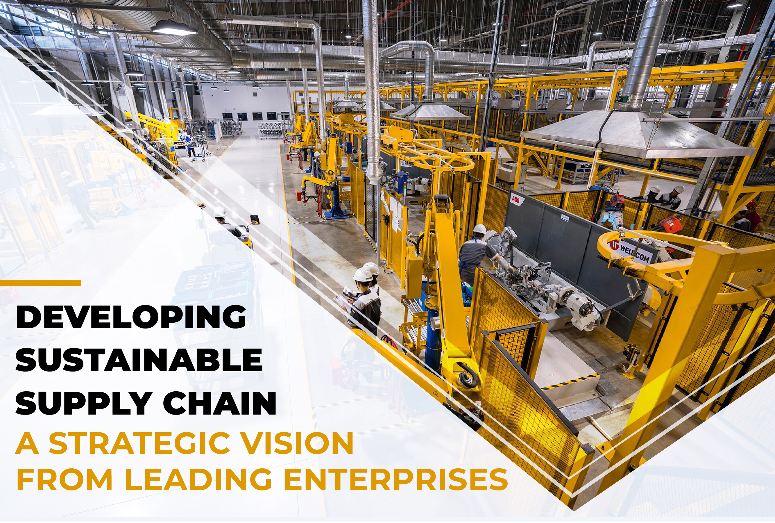 DEVELOPING SUSTAINABLE SUPPLY CHAIN A STRATEGIC VISION FROM LEADING ENTERPRISES