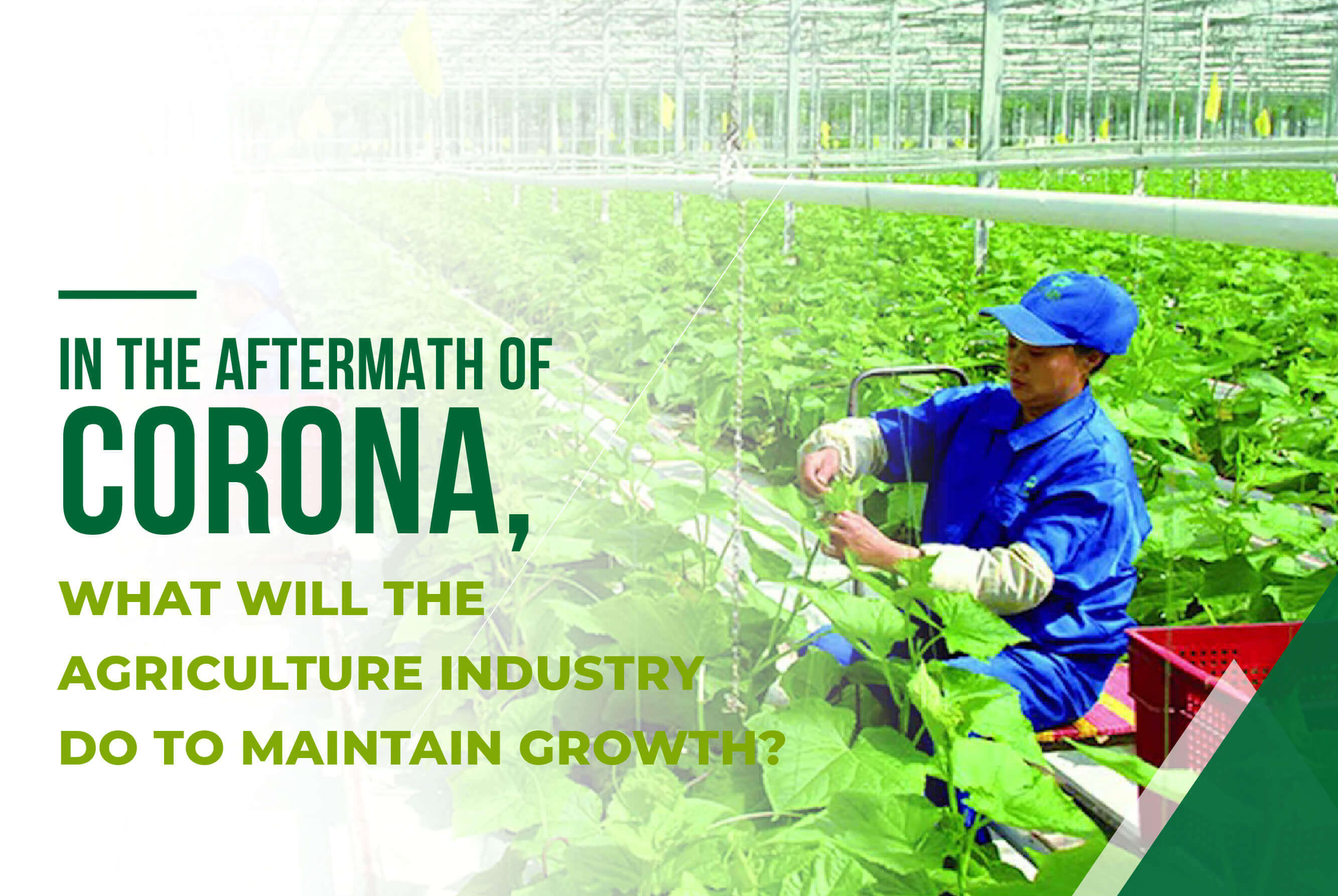 IN THE AFTERMATH OF CORONA, WHAT WILL THE AGRICULTURE INDUSTRY DO TO MAINTAIN GROWTH ?