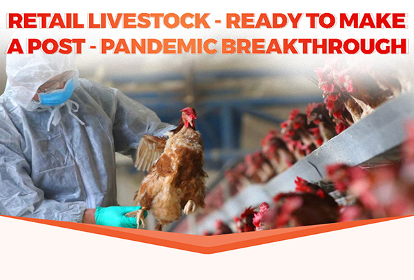 RETAIL LIVESTOCK – READY TO MAKE A POST – PANDEMIC BREAKTHROUGH