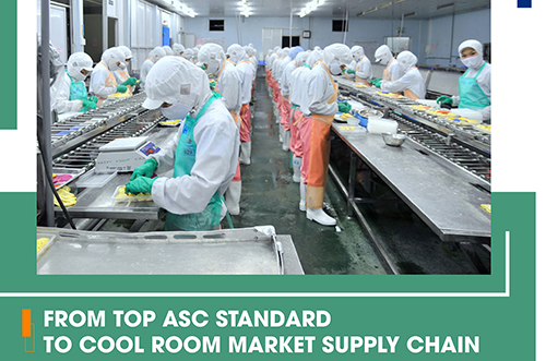 FROM TOP ASC STANDARD TO COOL ROOM MARKET SUPPLY CHAIN